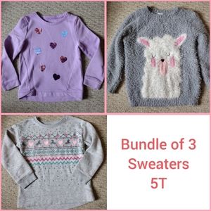 Sweater pullover bundle 5T